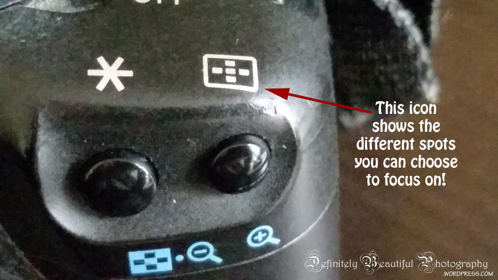canon rebel t1i maual point selection button